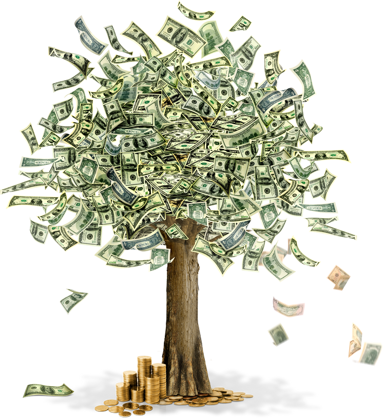 Money Tree Illustration